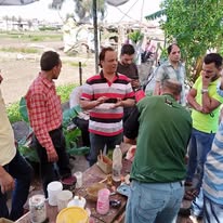 معرض الصور